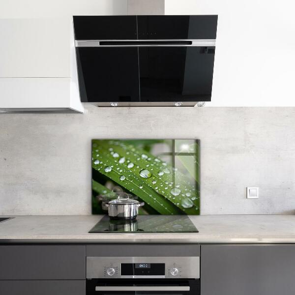 Lacobel do kuchni Krople Rosy na Trawie