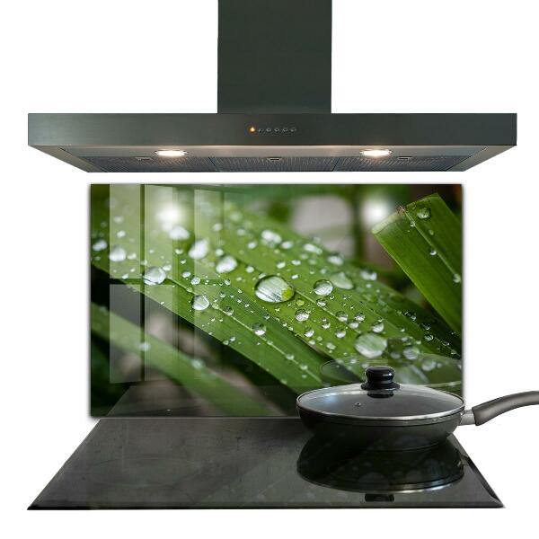 Lacobel do kuchni Krople Rosy na Trawie