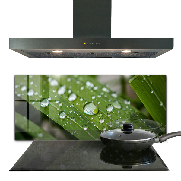 Lacobel do kuchni Krople Rosy na Trawie