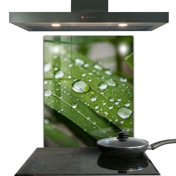 Lacobel do kuchni Krople Rosy na Trawie