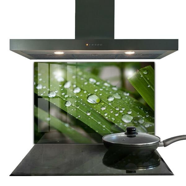 Lacobel do kuchni Krople Rosy na Trawie