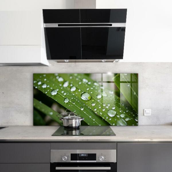 Lacobel do kuchni Krople Rosy na Trawie