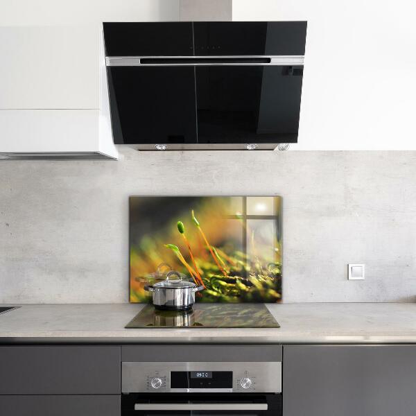 Panel nad blat kuchenny Mech Leśny Detale