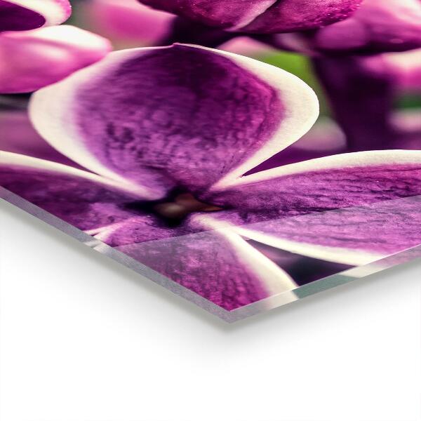 Panel nad blat kuchenny Różowe Lilie Naturalne Piękno