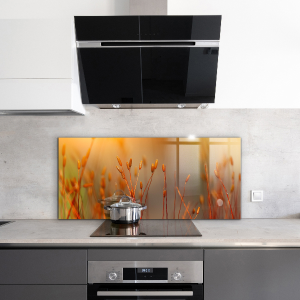 Panel nad blat kuchenny Pole Zboża o Zachodzie Słońca