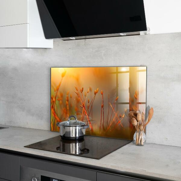 Panel nad blat kuchenny Pole Zboża o Zachodzie Słońca