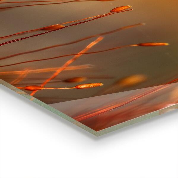 Panel nad blat kuchenny Pole Zboża o Zachodzie Słońca