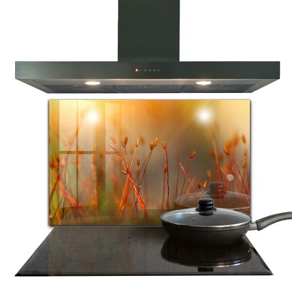 Panel nad blat kuchenny Pole Zboża o Zachodzie Słońca