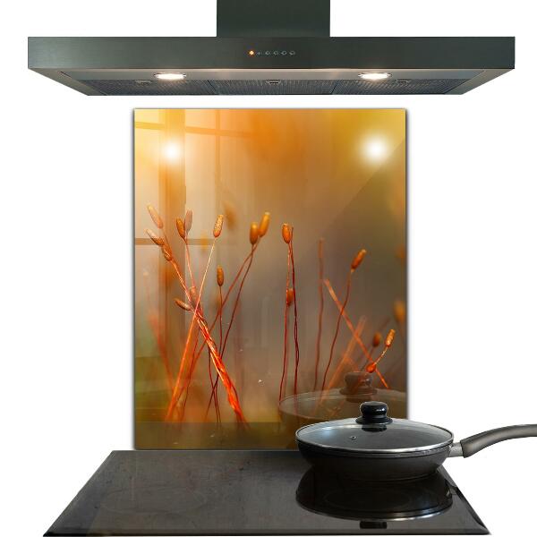 Panel nad blat kuchenny Pole Zboża o Zachodzie Słońca