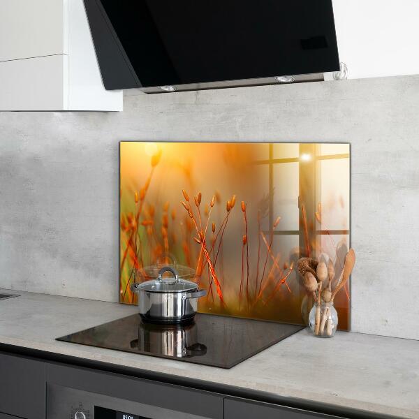 Panel nad blat kuchenny Pole Zboża o Zachodzie Słońca