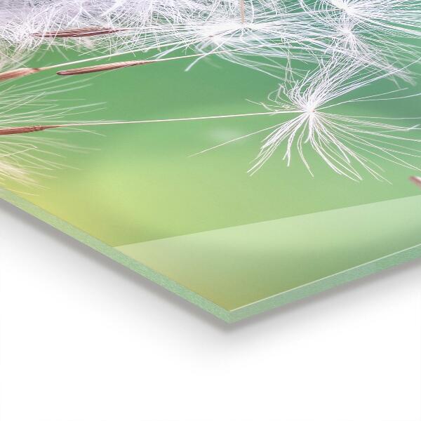 Panel nad blat kuchenny Dmuchawiec Mniszek na Wietrze