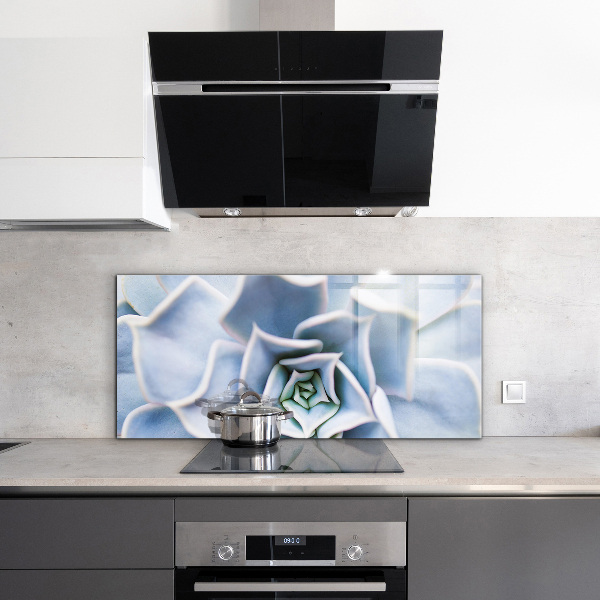 Panel nad blat kuchenny Kaktus Sukulent