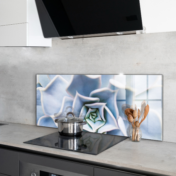 Panel nad blat kuchenny Kaktus Sukulent