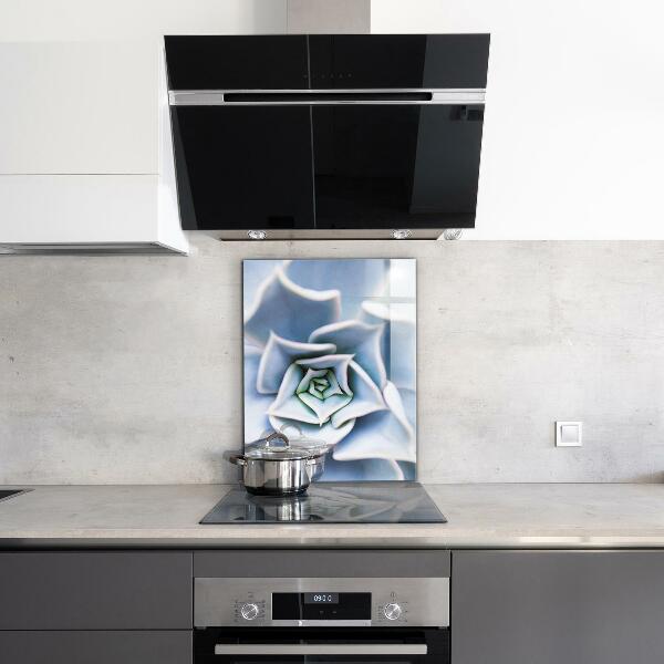 Panel nad blat kuchenny Kaktus Sukulent