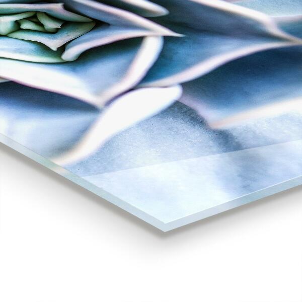 Panel nad blat kuchenny Kaktus Sukulent