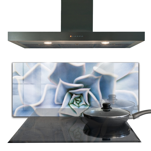 Panel nad blat kuchenny Kaktus Sukulent