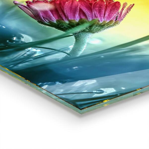 Panel nad blat kuchenny Delikatna Stokrotka na Łące