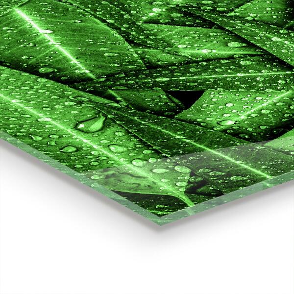 Panel nad blat kuchenny Zielone Liście po Deszczu