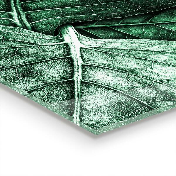 Panel szklany do kuchni Zielony Liść Detale