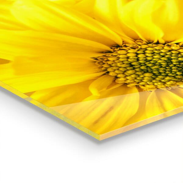 Panel szklany do kuchni Letnie Żółte Kwiaty