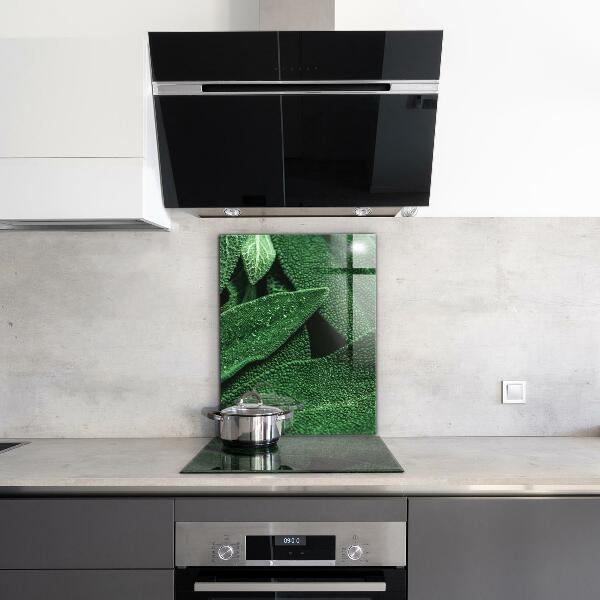 Panel szklany do kuchni Zielone Liście po Deszczu