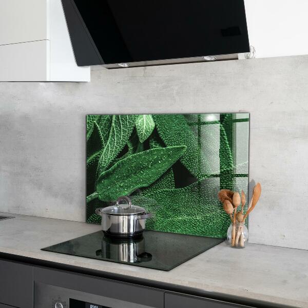 Panel szklany do kuchni Zielone Liście po Deszczu