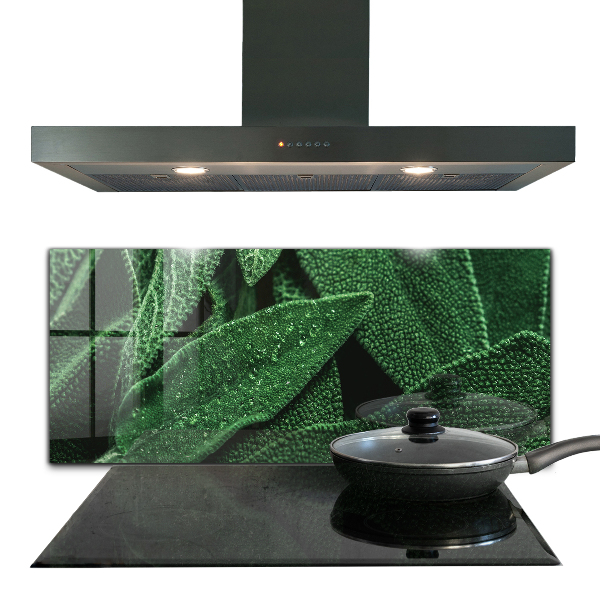 Panel szklany do kuchni Zielone Liście po Deszczu