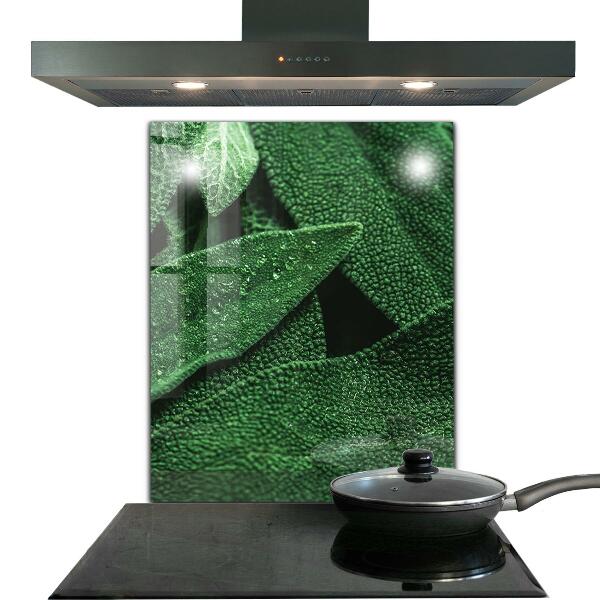 Panel szklany do kuchni Zielone Liście po Deszczu