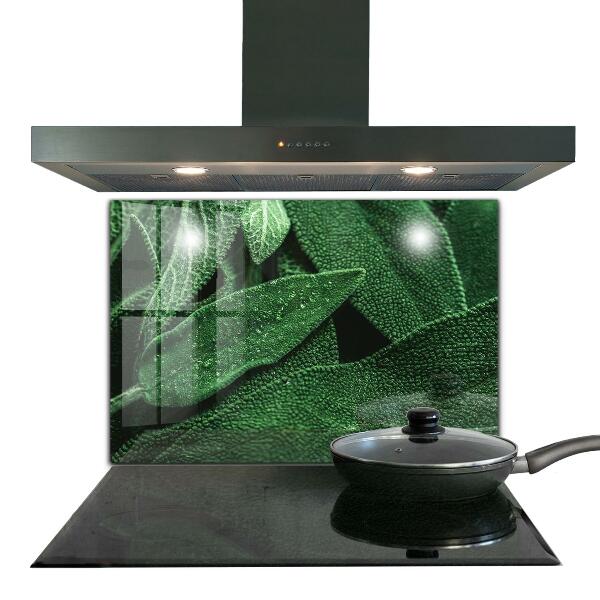 Panel szklany do kuchni Zielone Liście po Deszczu