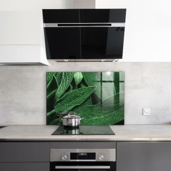 Panel szklany do kuchni Zielone Liście po Deszczu