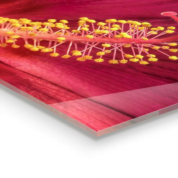 Panel szklany do kuchni Różowy Hibiskus