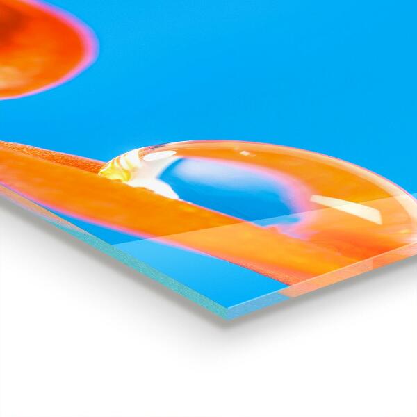 Szkło na ścianę do kuchni Pomarańczowy Kwiat