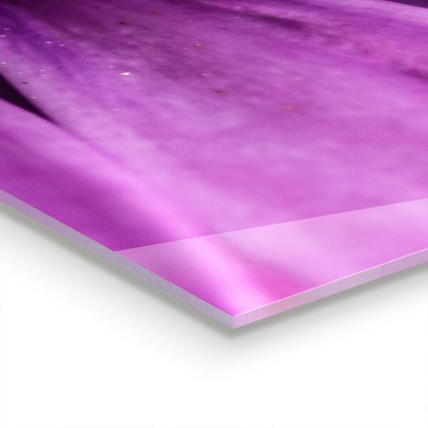 Szkło na ścianę do kuchni Fioletowy Kwiat Lato