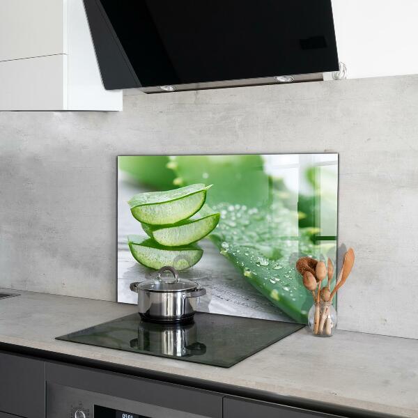 Lacobel do kuchni Aloes Aloe Vera Roślina