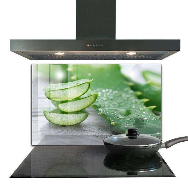 Lacobel do kuchni Aloes Aloe Vera Roślina