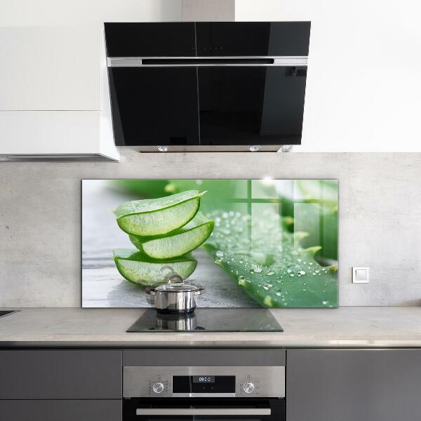 Lacobel do kuchni Aloes Aloe Vera Roślina