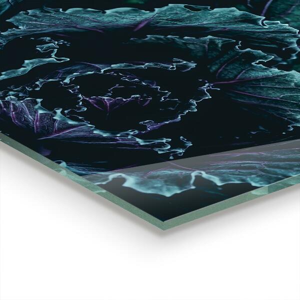 Lacobel do kuchni Liście Kapusty Ciemno-zielone