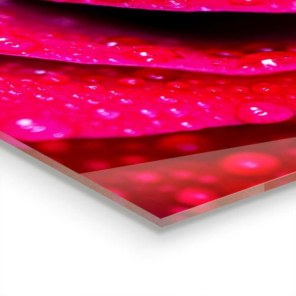 Lacobel do kuchni Róża Symbol Miłości