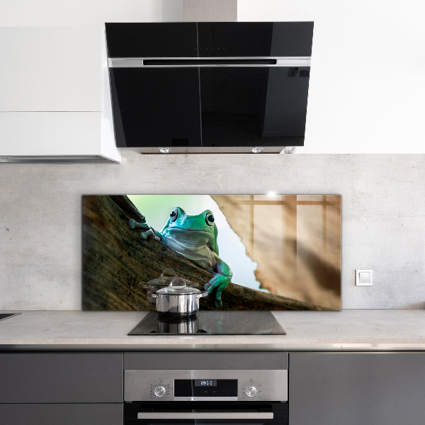 Panel szklany do kuchni Ciekawska Żaba Na Liściu
