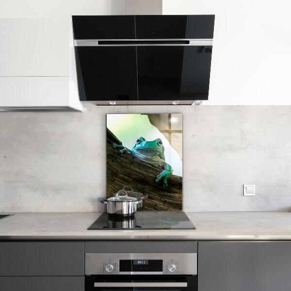 Panel szklany do kuchni Ciekawska Żaba Na Liściu