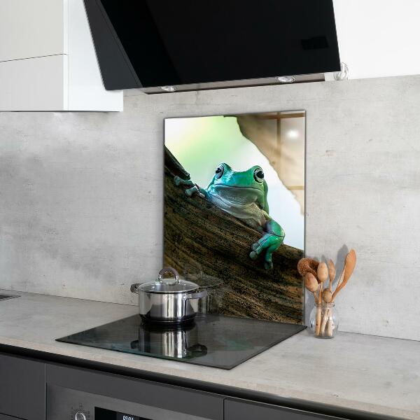 Panel szklany do kuchni Ciekawska Żaba Na Liściu