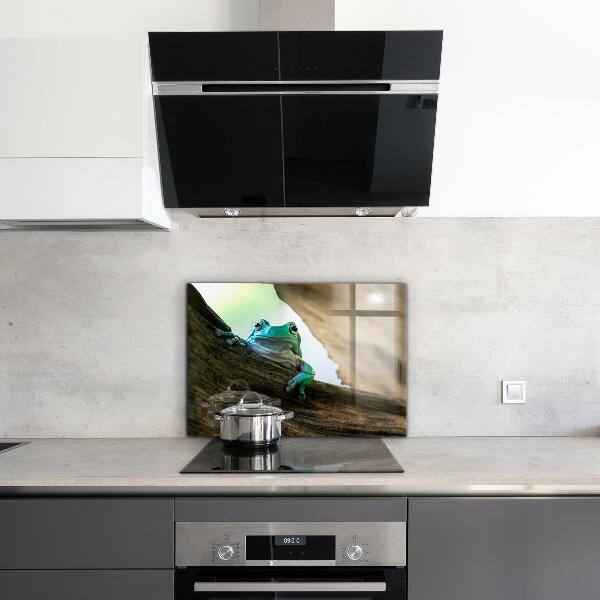 Panel szklany do kuchni Ciekawska Żaba Na Liściu