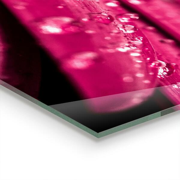 Lacobel do kuchni Różowa Roślina Kwiat