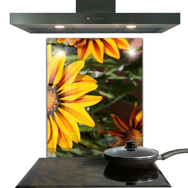 Lacobel do kuchni Żółty Kwiat na Łące