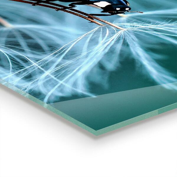 Panel szklany do kuchni Biedronka Chrząszcz Czerwony