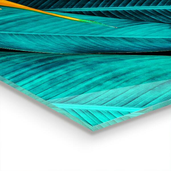 Szkło na ścianę do kuchni Tropikalny Egzotyczny Kwiat