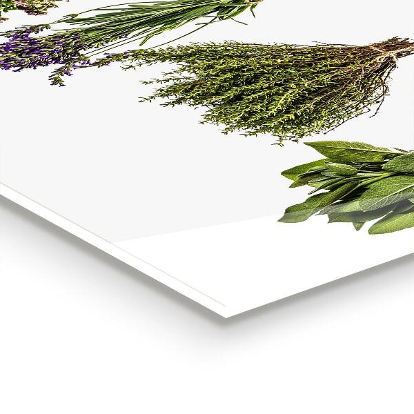 Panel kuchenny szklany Suszone Zioła Siła Natury