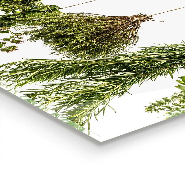 Lacobel do kuchni Suszone Zioła Ziołolecznictwo