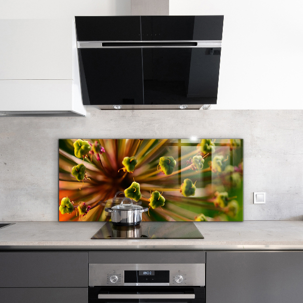 Szkło na ścianę do kuchni Kwiat makro fotografia