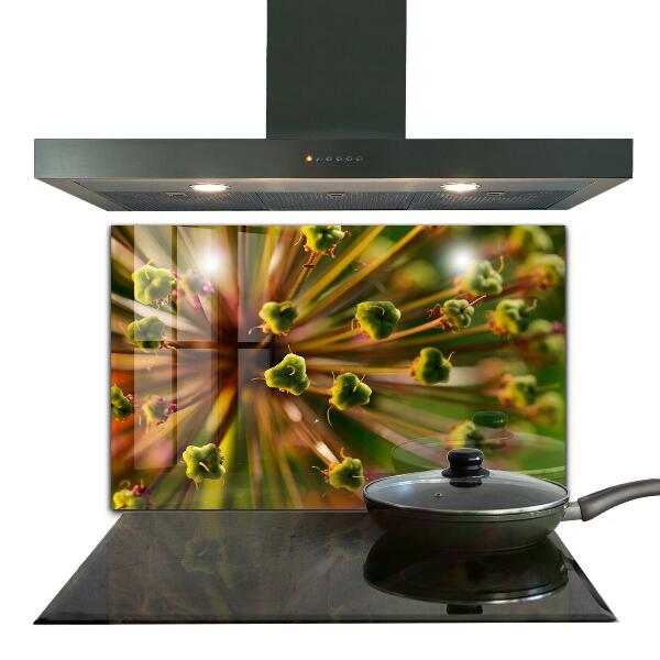 Szkło na ścianę do kuchni Kwiat makro fotografia